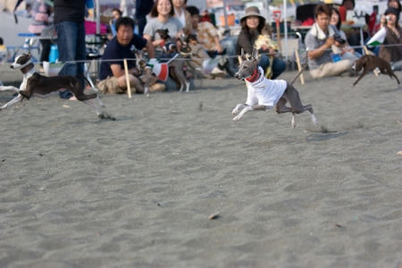 20080518-IMG_1711-92.jpg