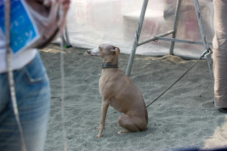 20080518-IMG_1681-63.jpg