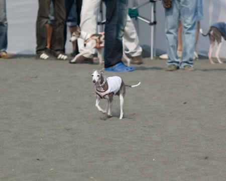 20080518-IMG_1693-75.jpg