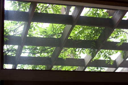 20080621-IMG_2140-4.jpg