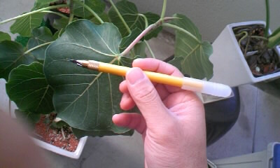 デザインカッター片手に出陣