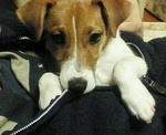 200712012210000.jpg