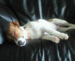 200712091559000.jpg