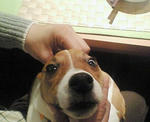 200712111924000.jpg