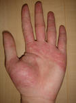 DSC04637.JPG