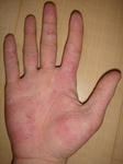 DSC04642.JPG