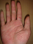 DSC04651.JPG
