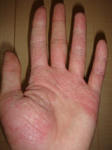 DSC04652.JPG