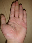 DSC04665.JPG