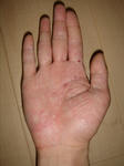 DSC04666.JPG