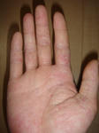 DSC04672.JPG