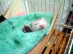 080223b.jpg