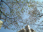 080405.jpg
