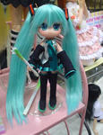 080427c.jpg