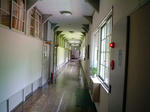 080609d.jpg