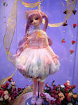 081207e.jpg