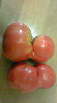 tomato
