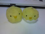 NEC_0065a.jpg