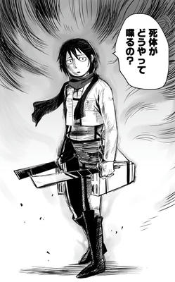 mikasa2.jpg