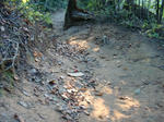 CIMG0263.JPG
