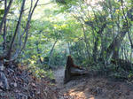 CIMG0262.JPG
