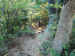 CIMG0261.JPG