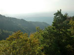 CIMG0257.JPG