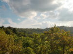 CIMG0256.JPG