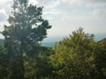 CIMG0254.JPG