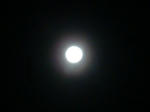 CIMG0524.JPG