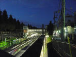 P1020706t1.jpg