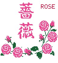 017 JP rose 薔薇
