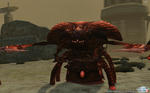 pso20121209_193214_004.jpg