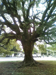 200810280807000.jpg