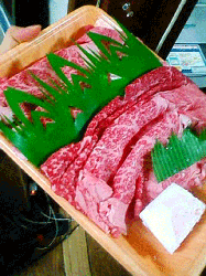 niku.gif