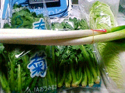yasai.gif