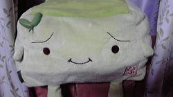 2009020318570000.jpg