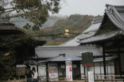 IMG_8976.JPG