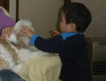 2008123.jpg