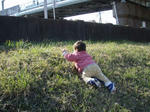 2008162.jpg