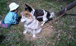 080405_1002~0001.jpg