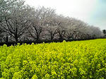 080407_1047~01.JPG