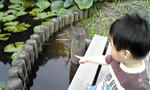 080625_1042~01.JPG