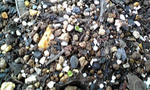 090509_1211~01.JPG