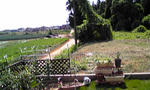 090828_1023~02.JPG