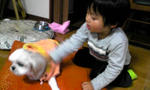 091103_2030~01.JPG
