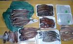 100320_2321~0001.jpg