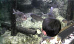 100404_1242~01.JPG