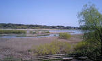 100425_1345~0001.JPG