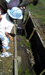 100521_1020~01.JPG